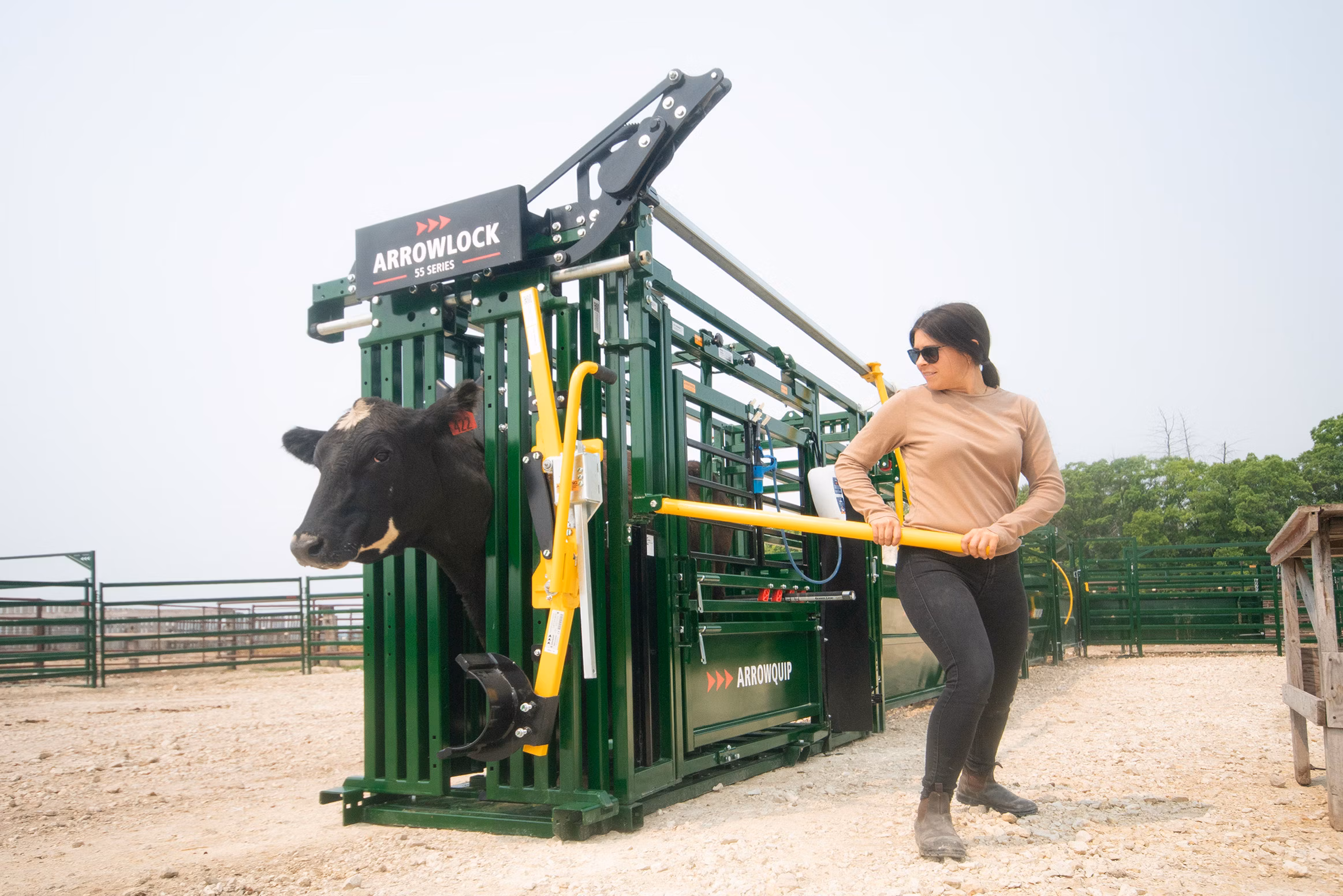 Beginning Farmer & Rancher Development Program (BFRDP)