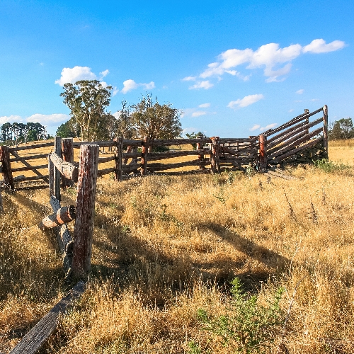 Homemade wooden cattle yards in a field