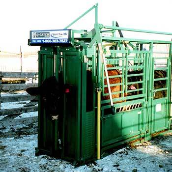 Cattle Immobilizer Squeeze Chute