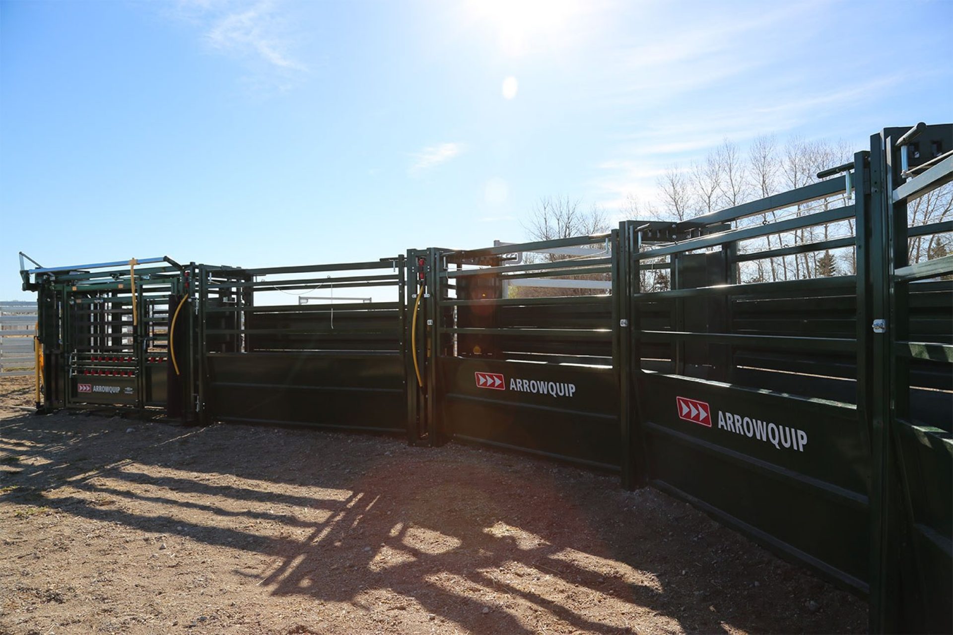 Curved cattle alley system leading to squeeze chute with sun casting shadows on the ground