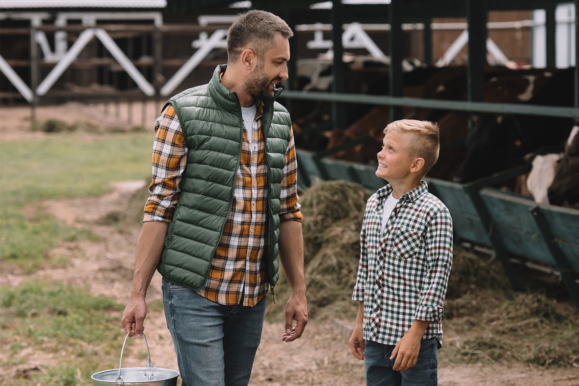 Father and son walking away from cattle barn after gathering milk