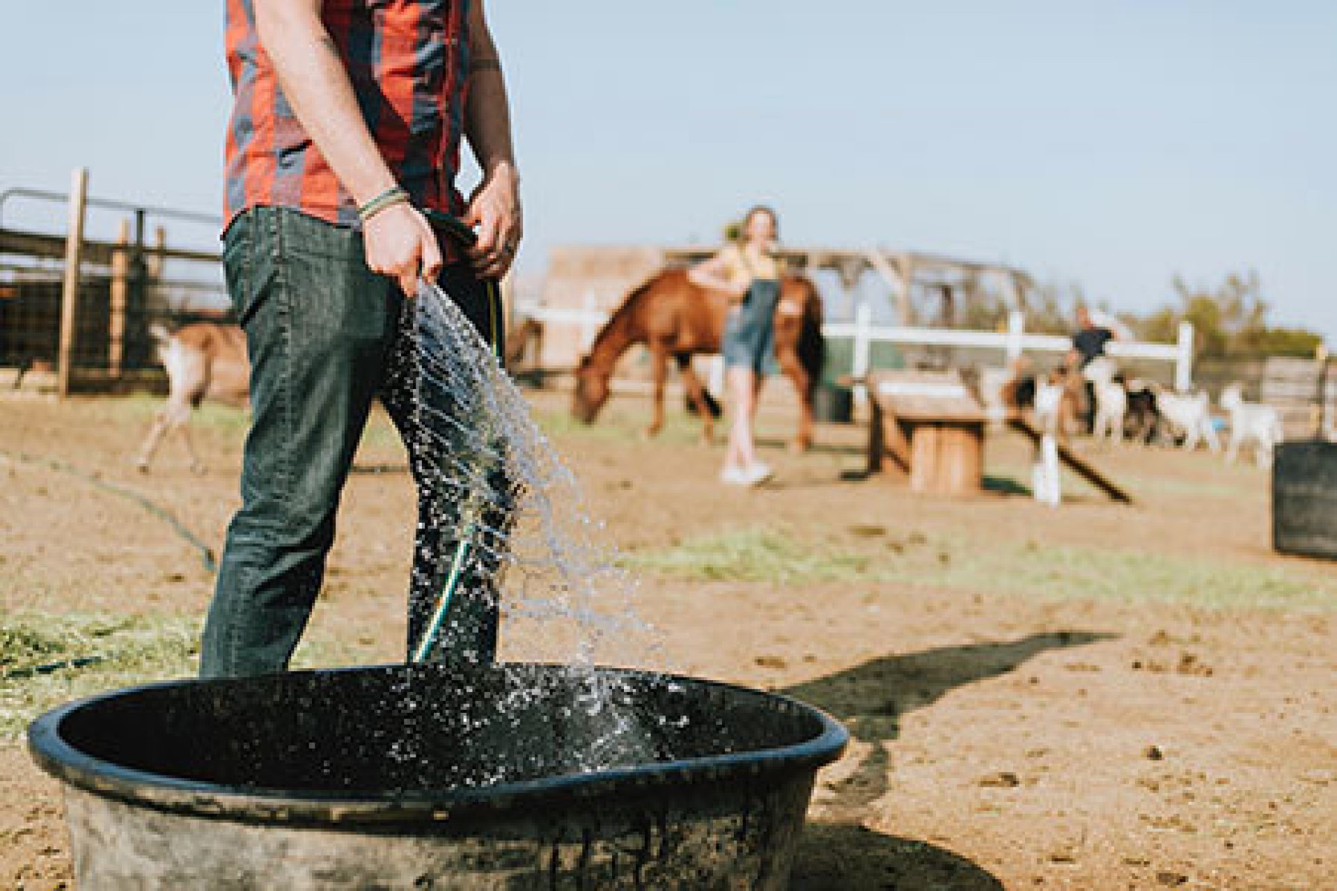 Tips for keeping cattle feeding areas clean