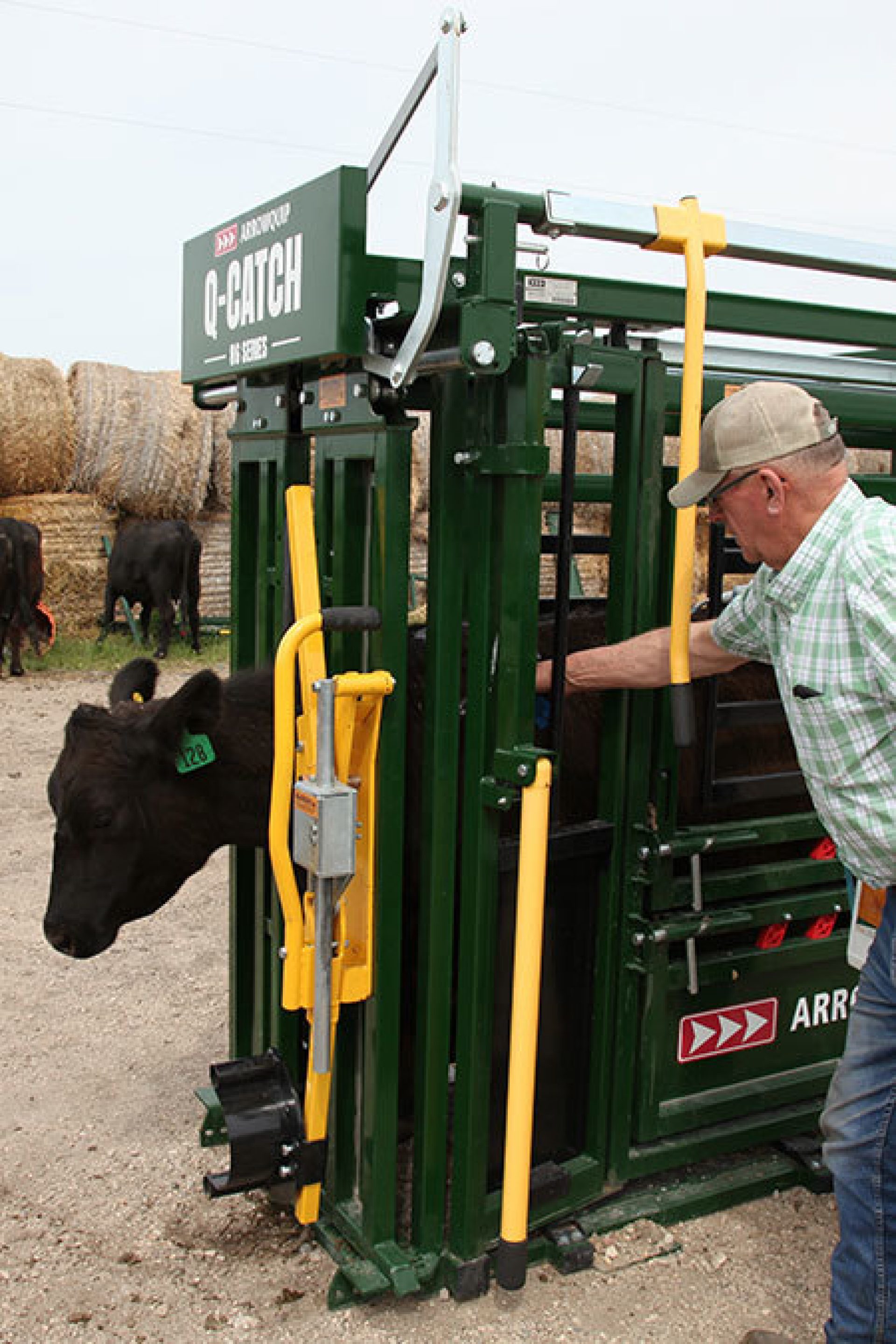 How To Properly Store And Handle Cattle Vaccines