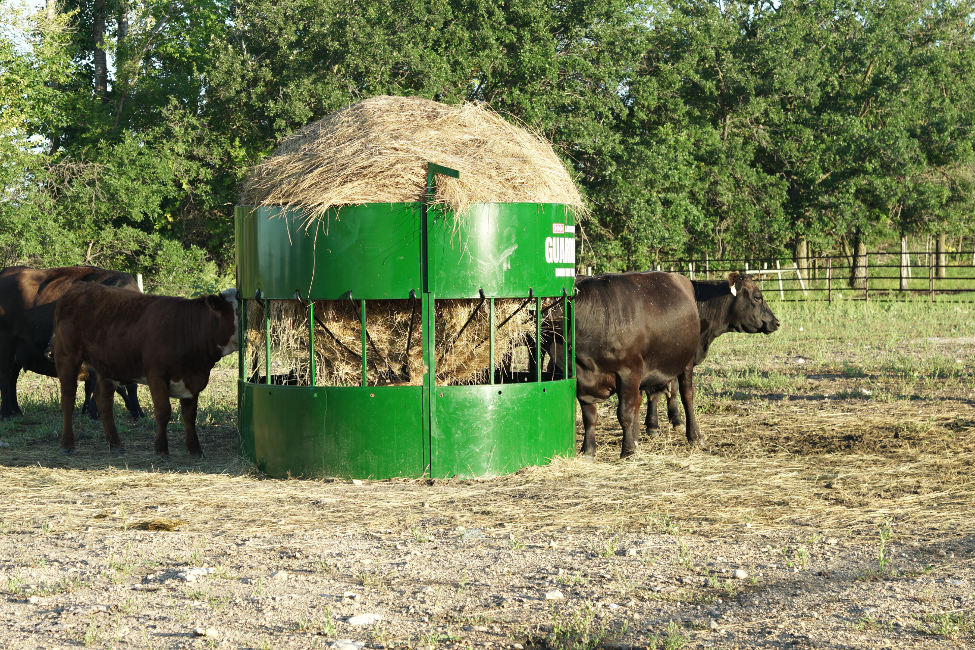 Round Hay Bales: Why They're Round, Uses, and Cost