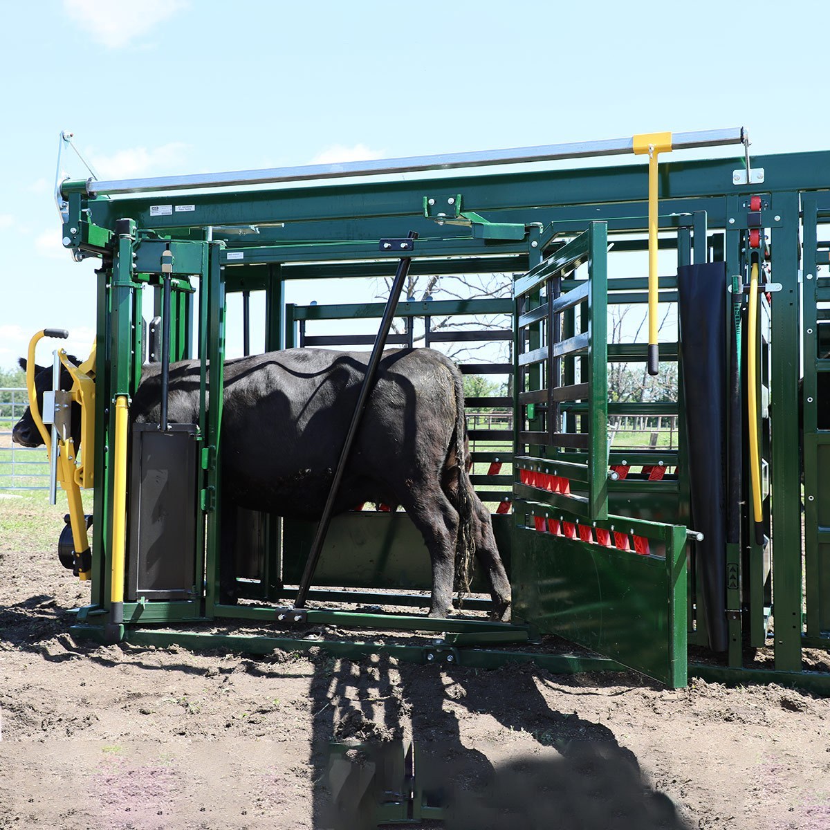Arrowquip - Wide open neck access. Only available with Arrowquip's New Neck  Extender Design.    #cattlehandling #cattleranch #cattleranching #feedlot
