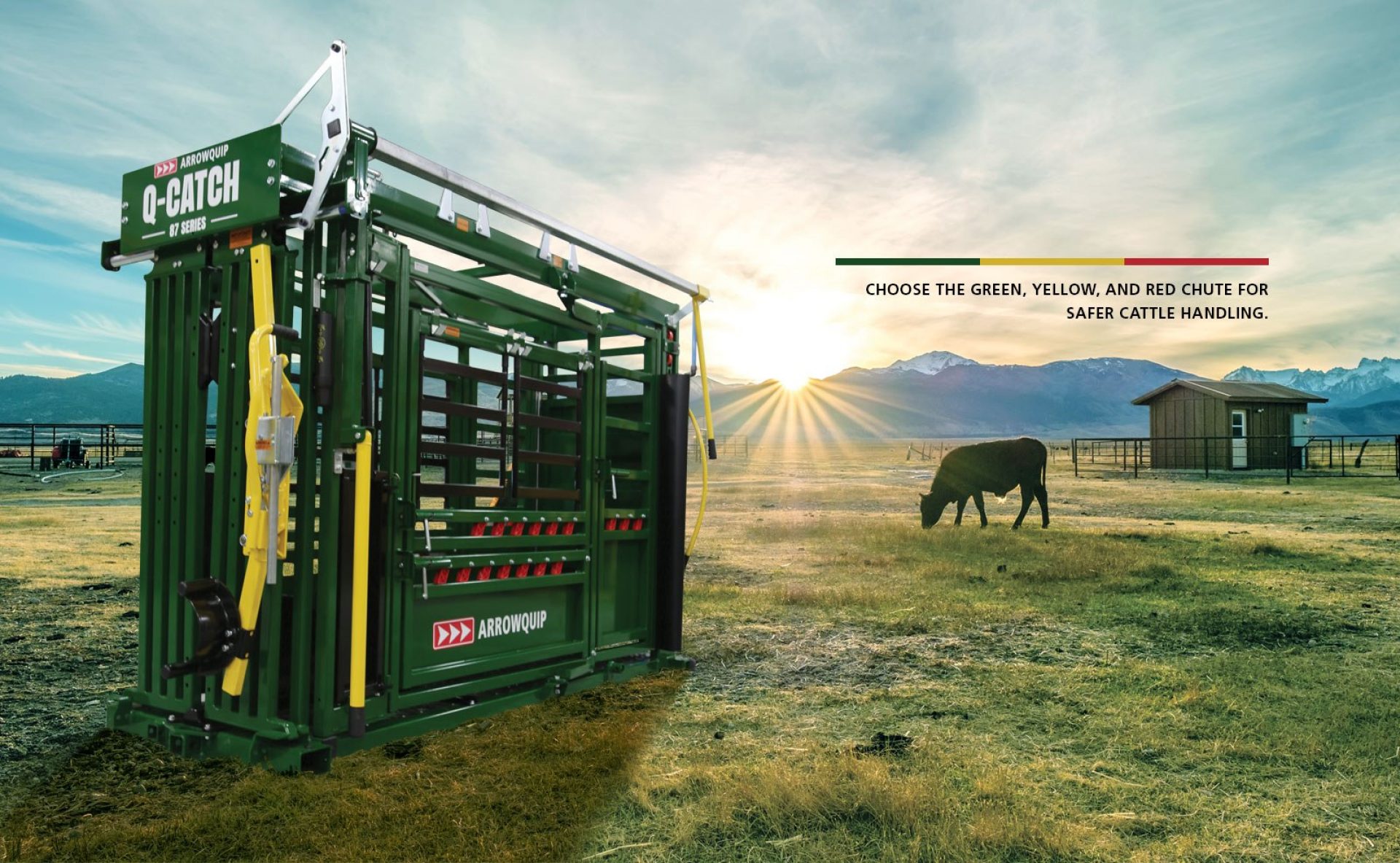 Arrowquip cattle chute in grass pasture with livestock