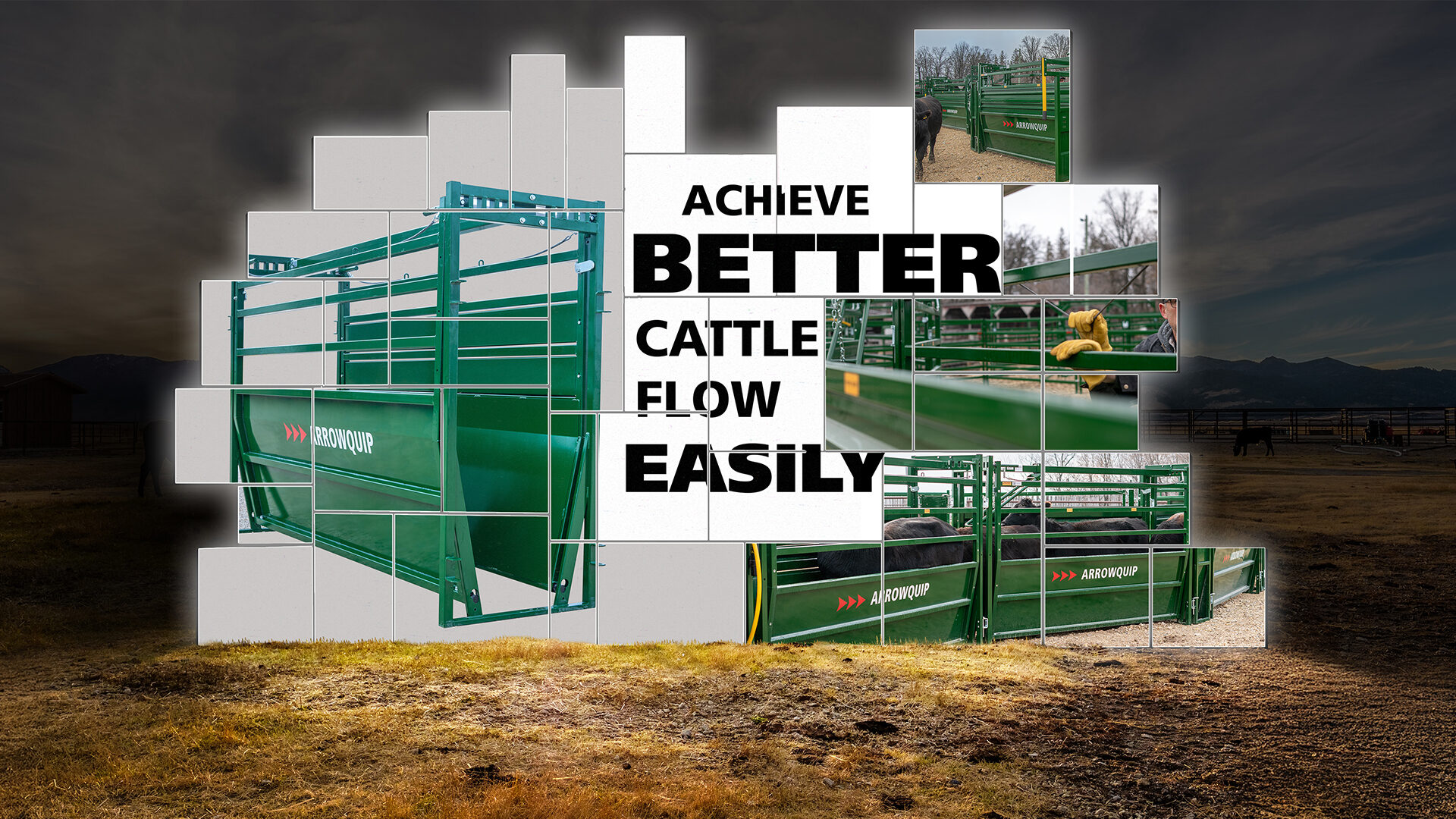 Easy Flow Adjustable Cattle Alley Hero