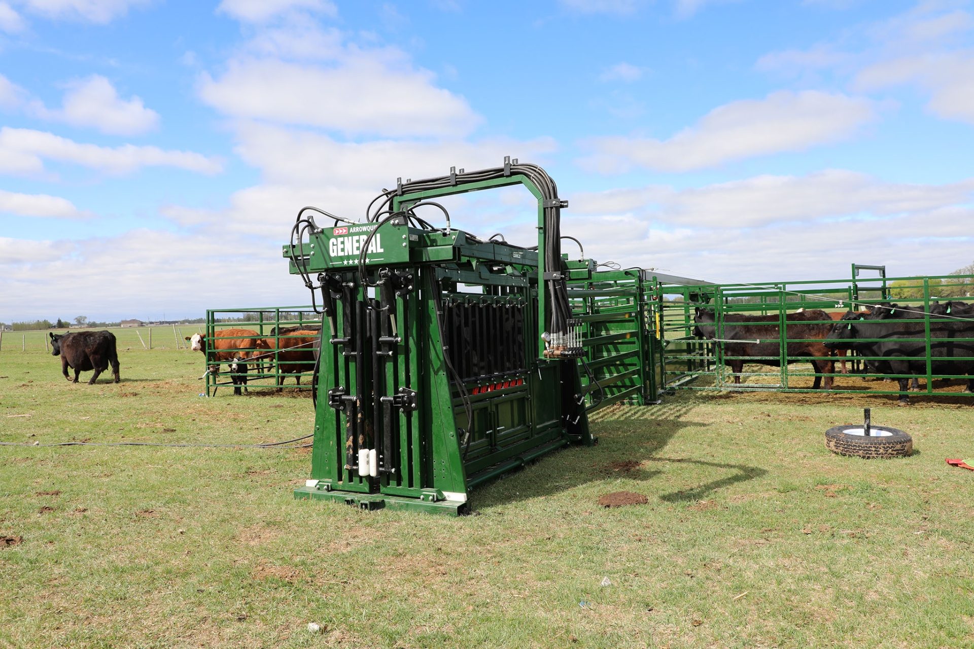 The General Hydraulic Chute in a pasture with cattle enclosed in pens behind