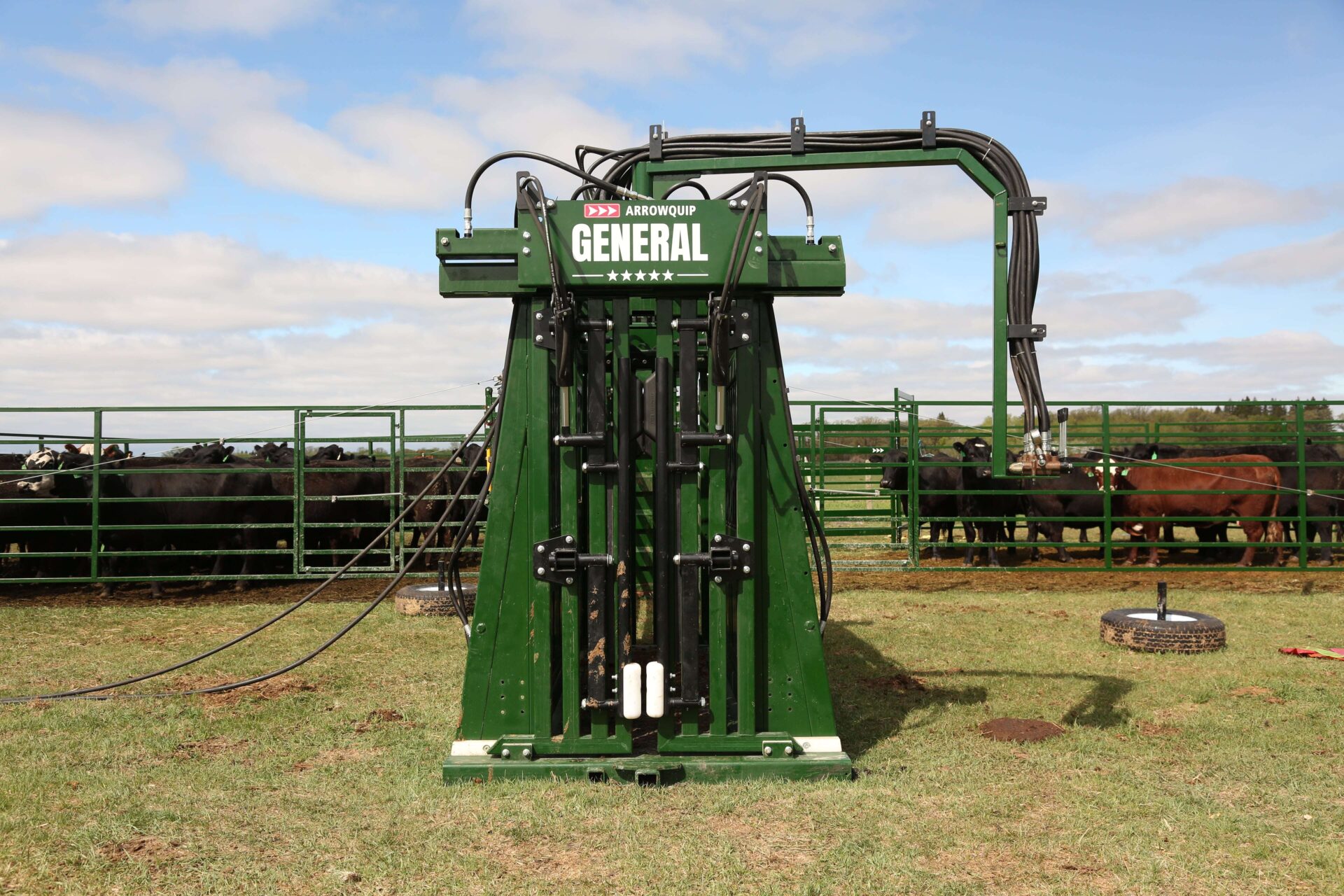 The General hydraulic cattle chute front view with cattle in a corral in the background min