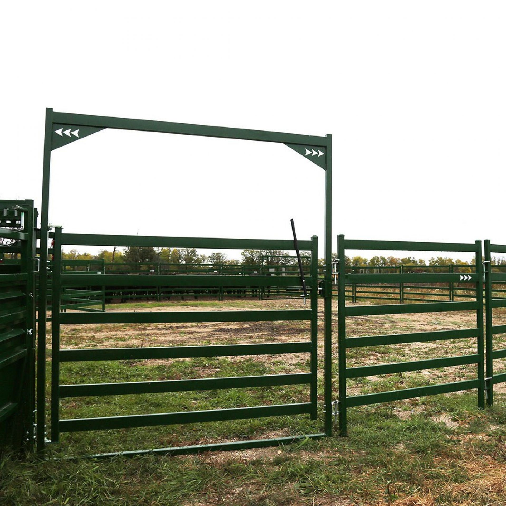 Cattle Handling & Cattle Working Systems | Custom Designs | Arrowquip