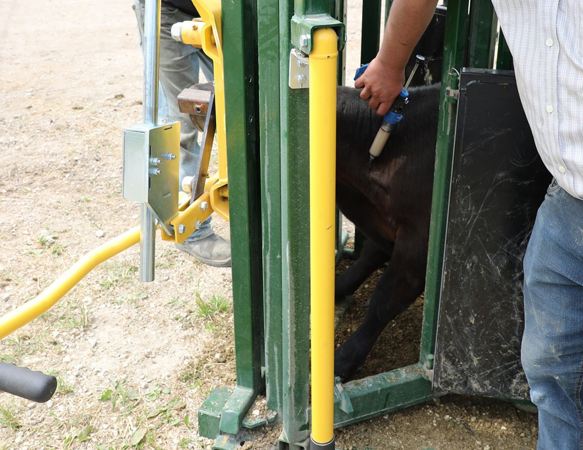 Calf neck access 87 series