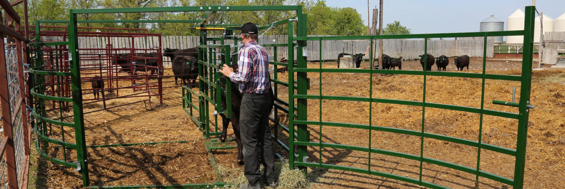 Cattle Calving Pen | Arrowquip Cattle Equipment