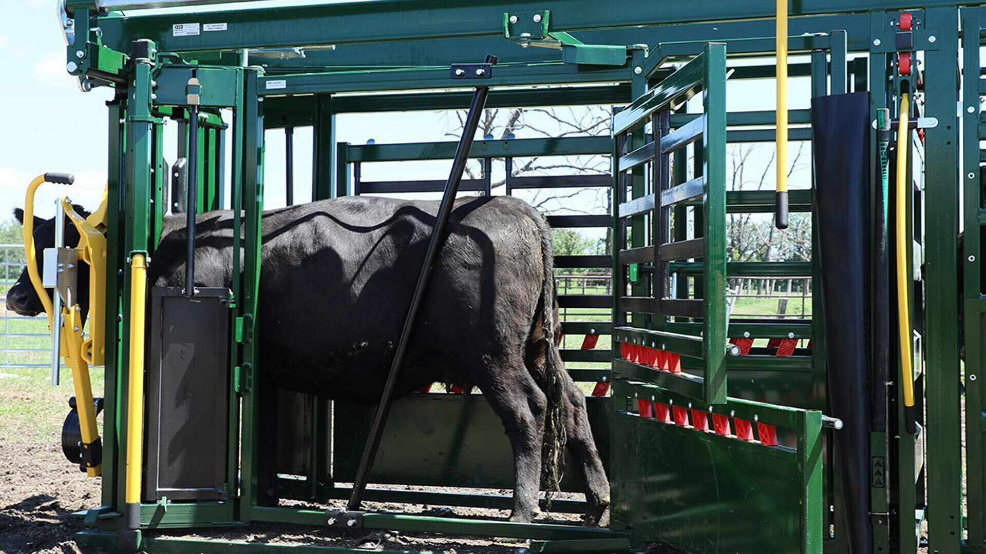 Cattle Handling Equipment Accessories