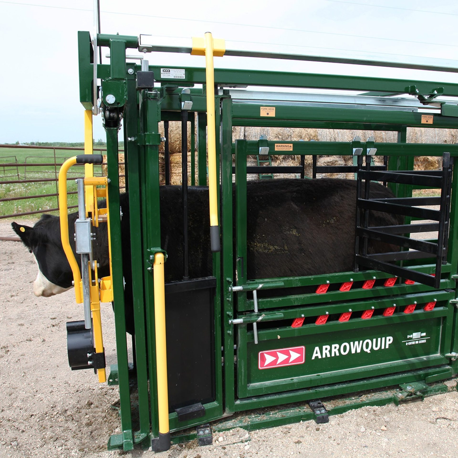 Side view of cow in Arrowquip Q-Catch 86 Series with side access door open