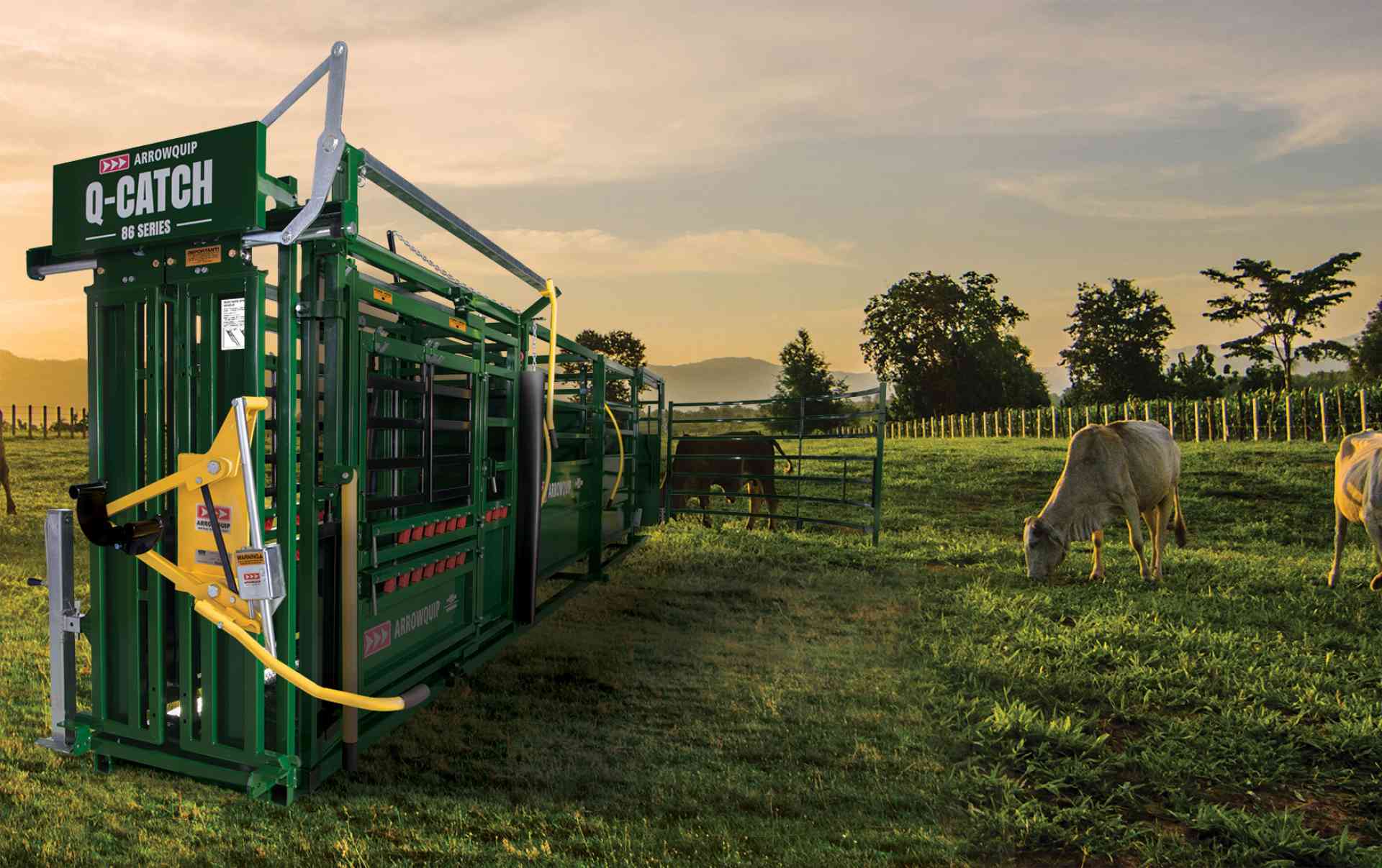 Portable Cattle Squeeze Chute | Portable Q-Catch 86 Series Cattle Chute, Cattle Alley & Cattle Tub | Arrowquip Cattle Equipment
