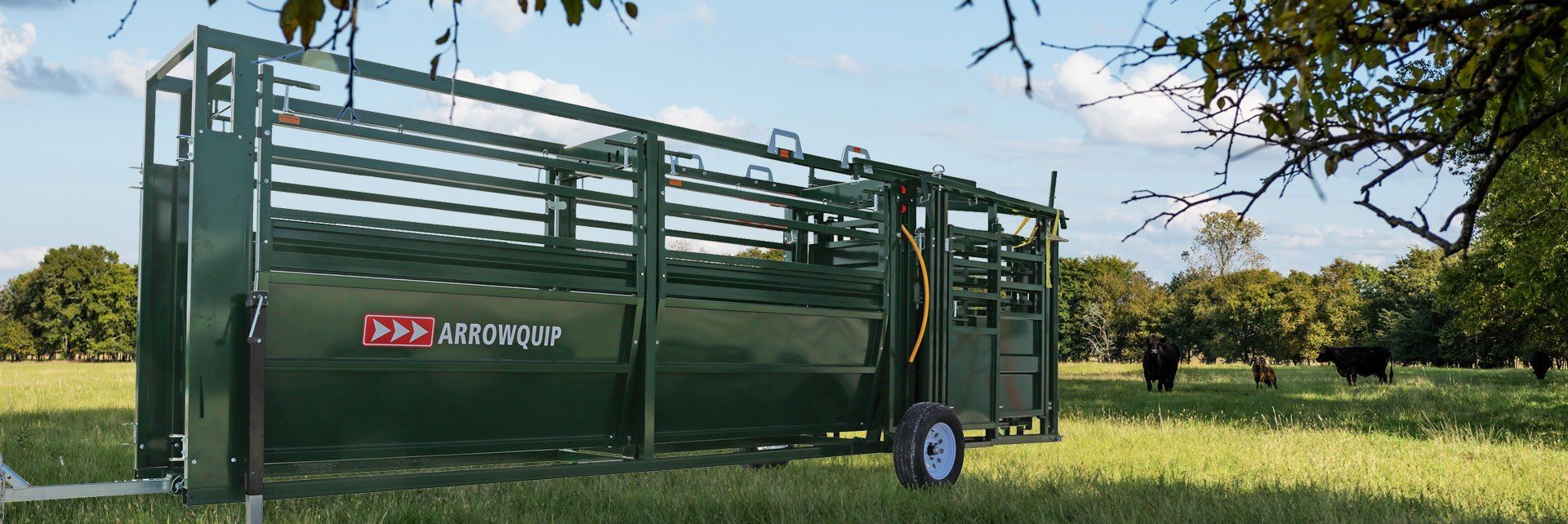 mobile cattle forcing pen and race in a field