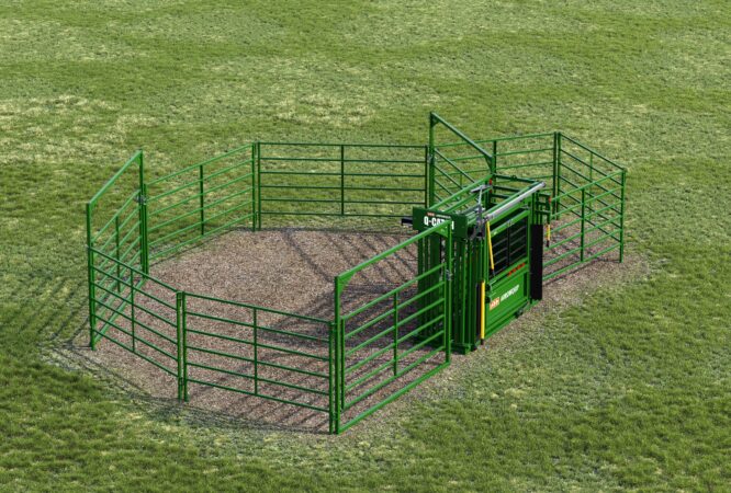 Starter Cattle Handling Systems | Arrowquip