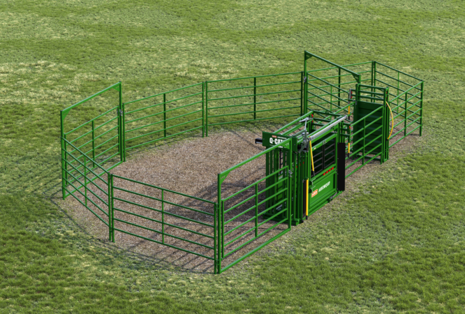 Starter Cattle Handling Systems | Arrowquip