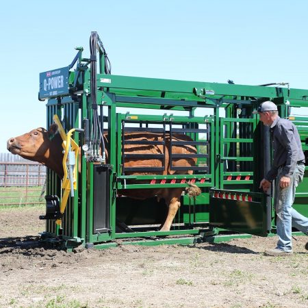 Q-Power 107 Series Hydraulic Cattle Chute | Arrowquip