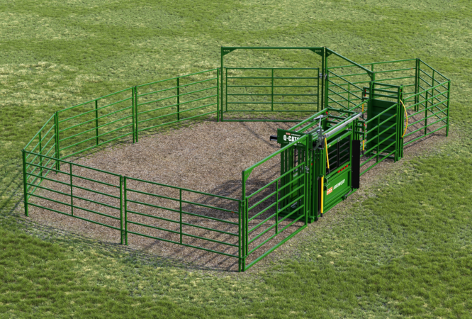 20 Head Base cattle handling system