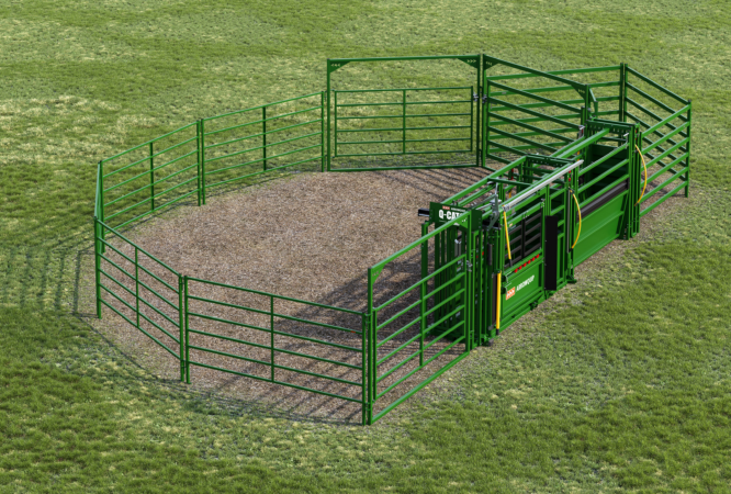 20 Head Deluxe cattle handling system