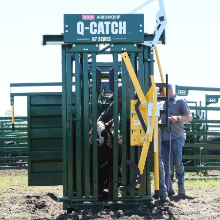 Q-Catch Cattle Head Gate | Cattle Head Catch | Arrowquip