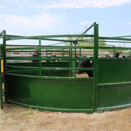 Cattle Tubs - BudFlow® Cattle Crowding Tubs For Cattle | Arrowquip