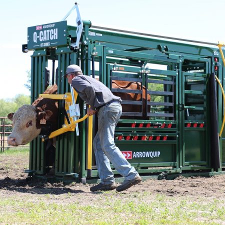 Q-Catch 87 Series Cattle Squeeze Chute | 15 Year Warranty | Arrowquip