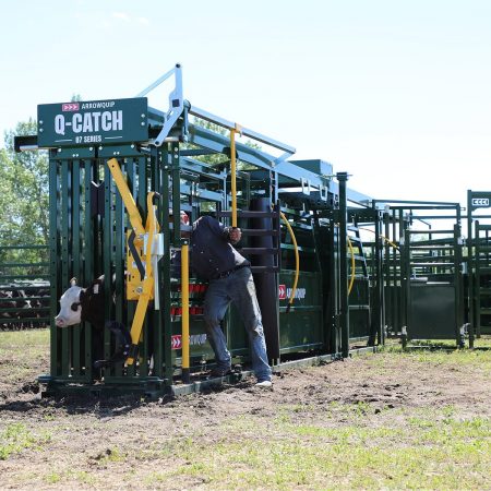 Q-Catch Portable Cattle Chute, Alley & Tub | Arrowquip