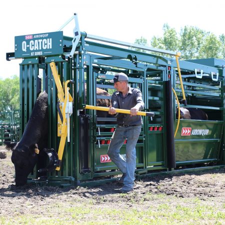 Q-Catch 87 Series Portable Cattle Chute & Alley | Arrowquip