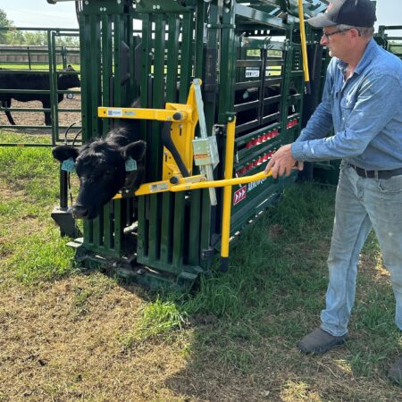 The Heeler 87c Manual Portable Corral, Chute & Alley… 