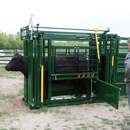 Q-Catch 54 Series Cattle Squeeze Chute | Arrowquip