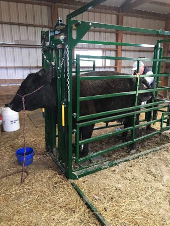 Calving Pens & Equipment | Calving Products | Arrowquip