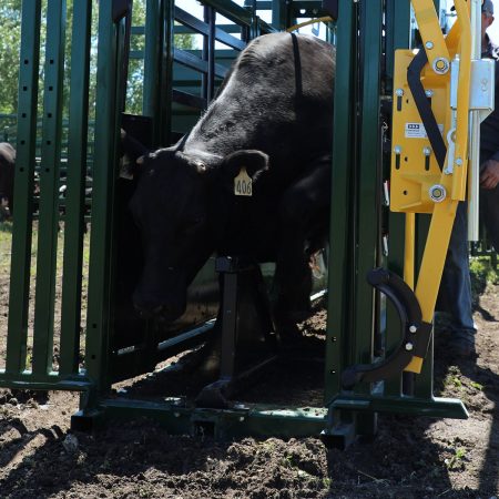 Arrowquip - Wide open neck access. Only available with Arrowquip's New Neck  Extender Design.    #cattlehandling #cattleranch #cattleranching #feedlot