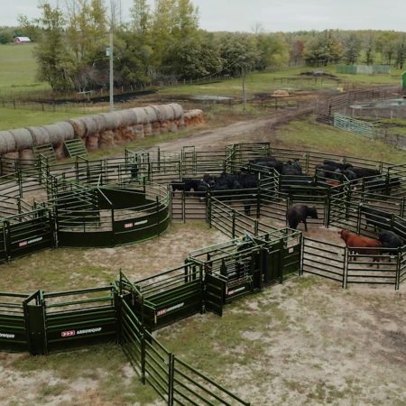 Cattle Corral Systems | Low Stress Cattle Working Systems | Arrowquip