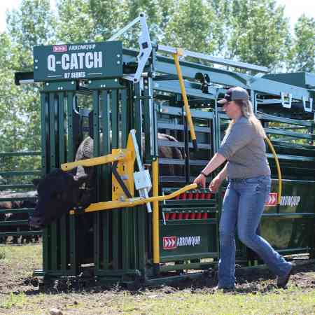 Cattle Handling Equipment Accessories | Arrowquip