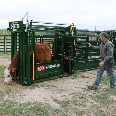 Q-Catch 54 Series Cattle Squeeze Chute | Arrowquip