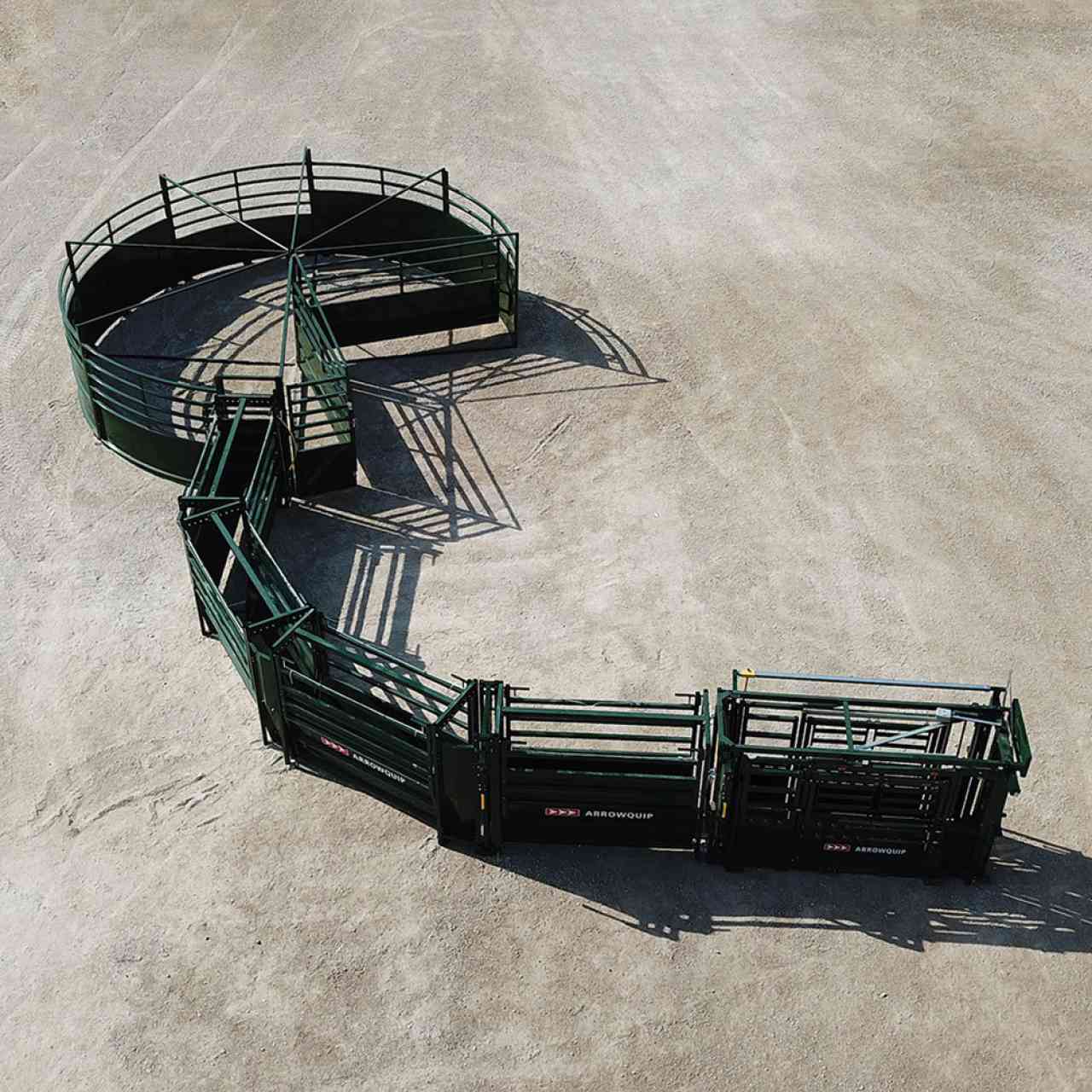 S-Flow Cattle Working System with 90 degree curved alley