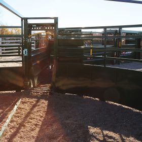 Low sheeted cattle tub panels bring more light into the handling system