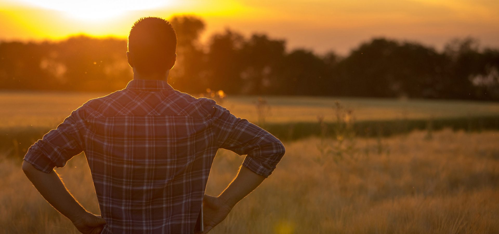 Cattle rancher looking out at pasture at sunset