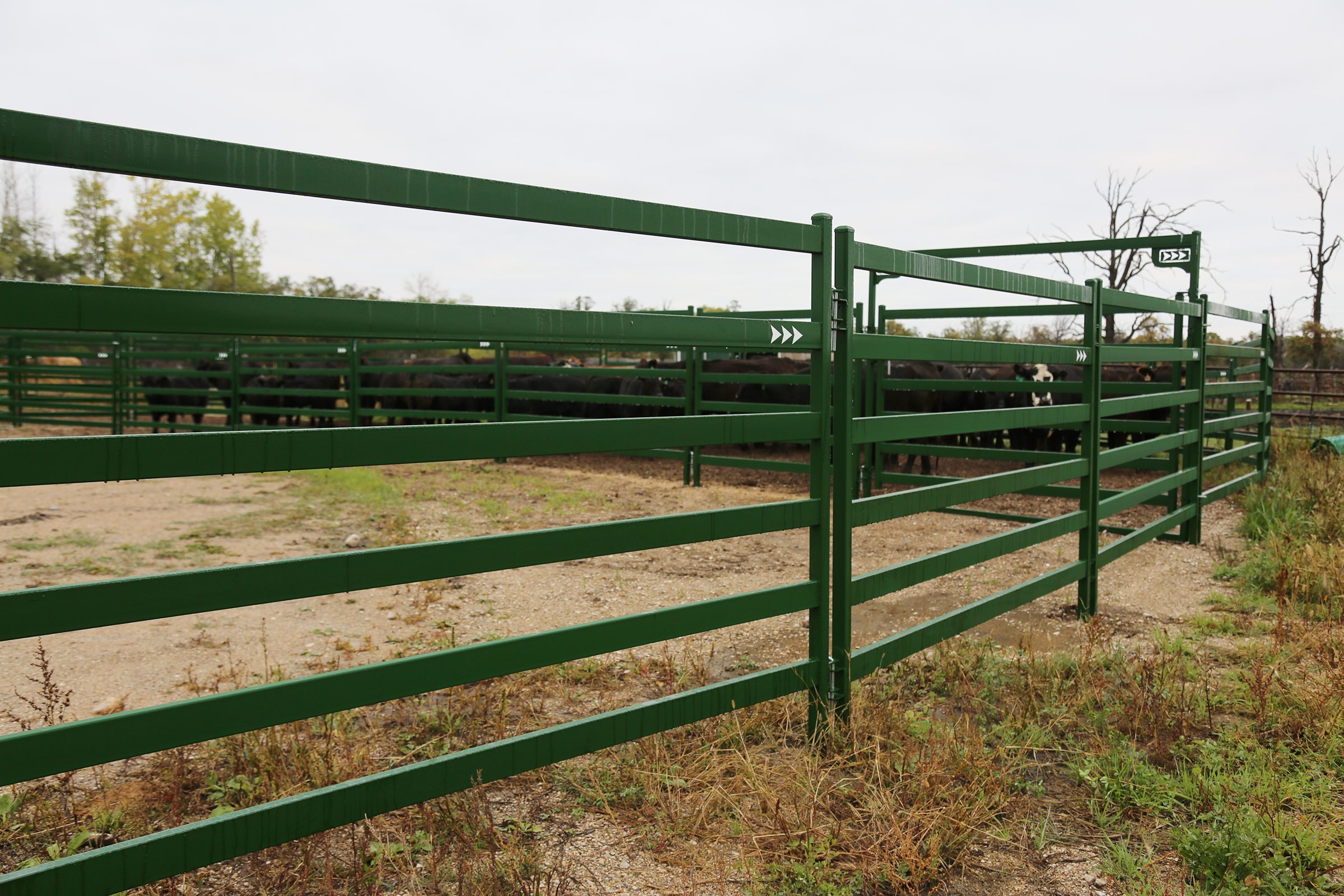 Cattle Corral Panels Arrowquip Ph