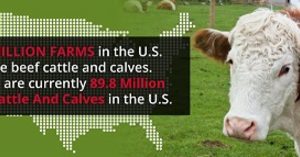 Cattle Diseases Signs and Prevention Arrowquip