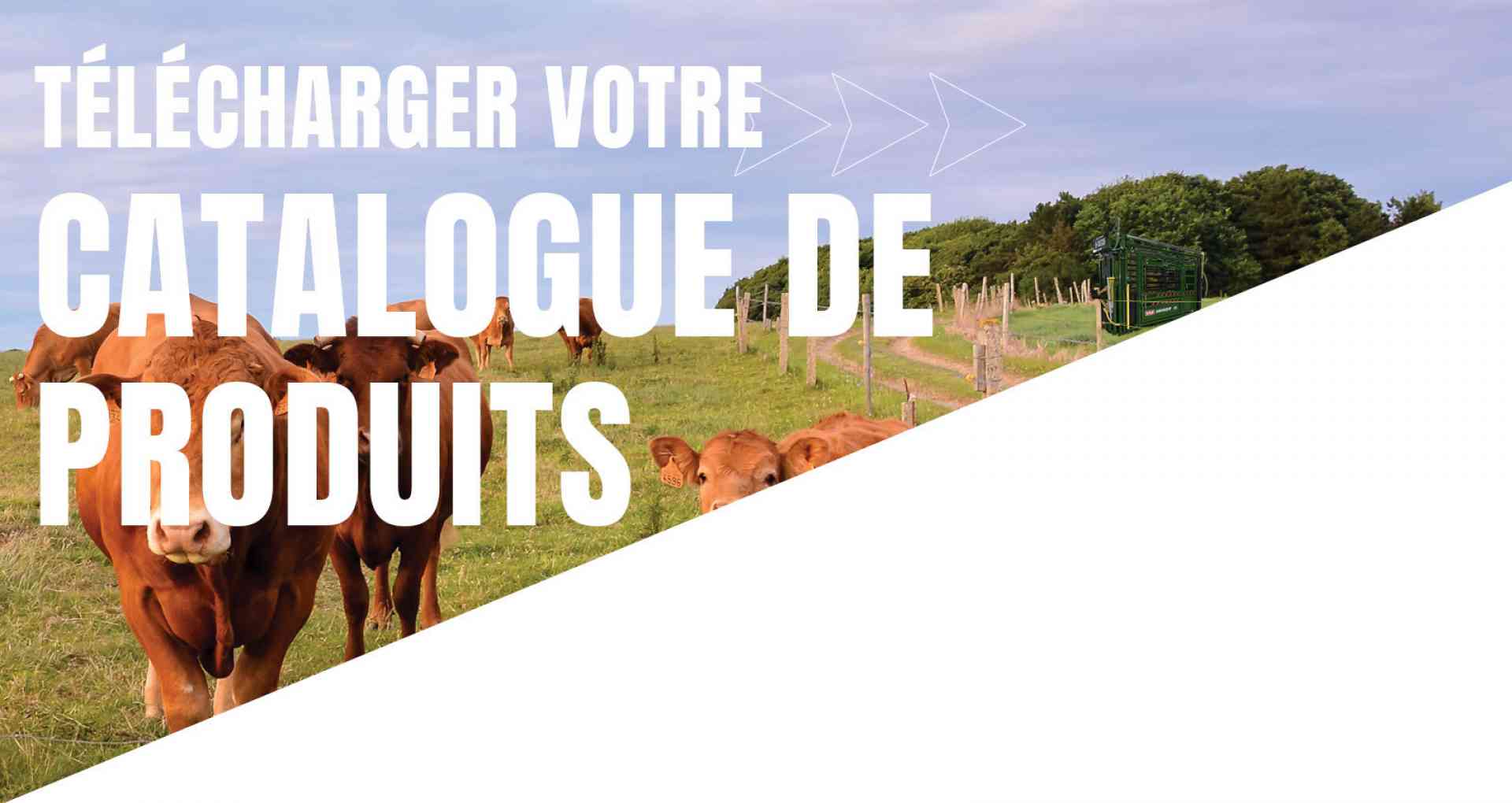 Catalogue de produits 2019