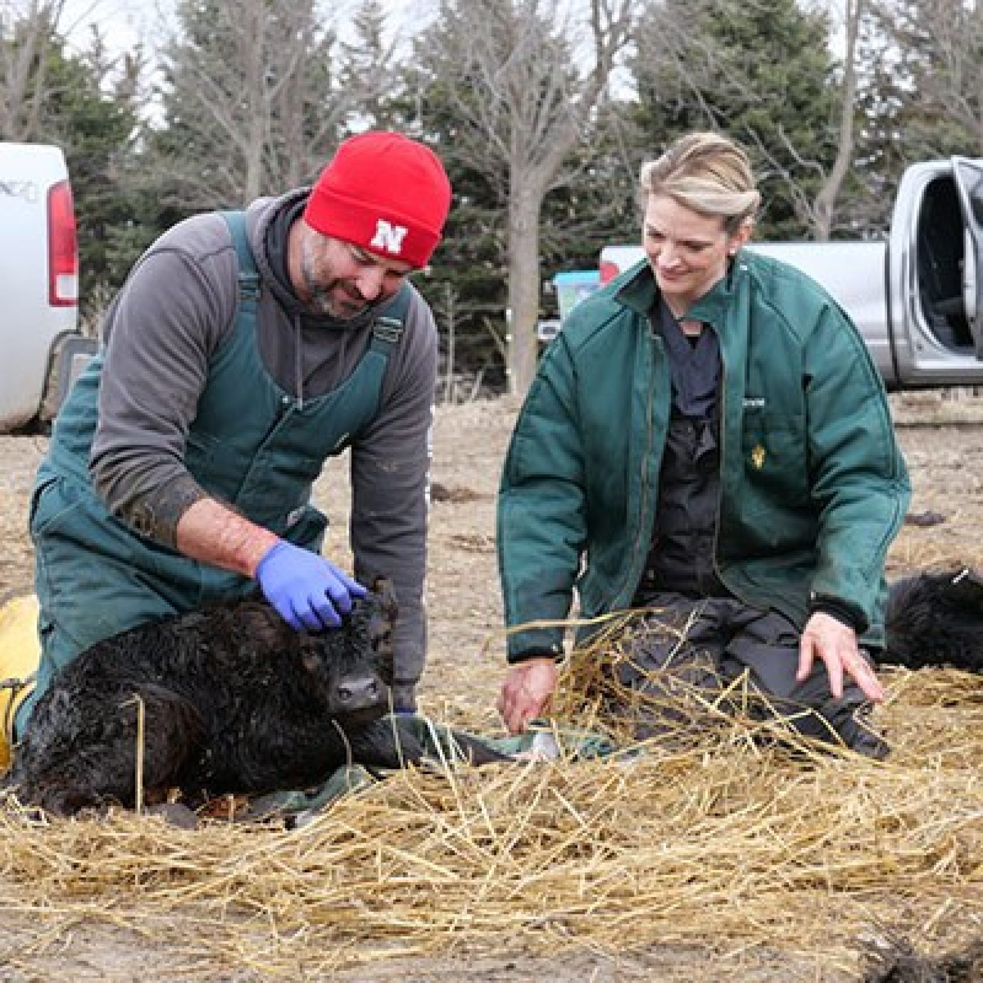 Heartland Vets